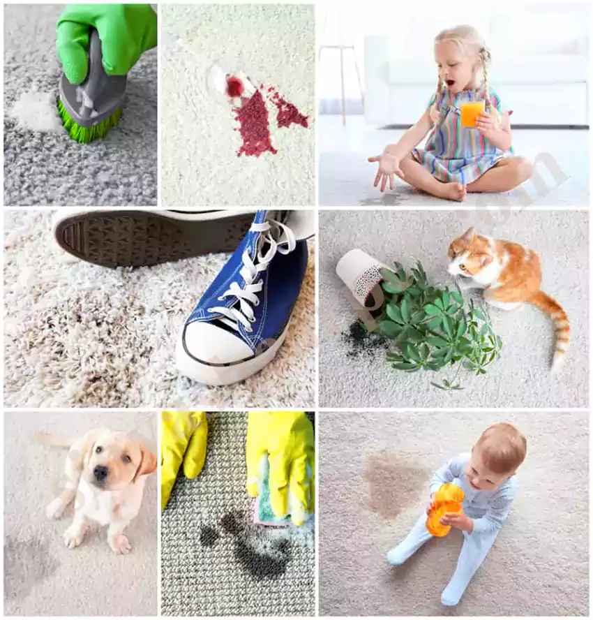 شناخت انواع لکه های فرش, آیا انواع لکه‌های فرش را می‌شناسید؟