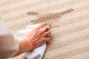 پاک کردن لکه های فرش, پاککردن لکه فرش
